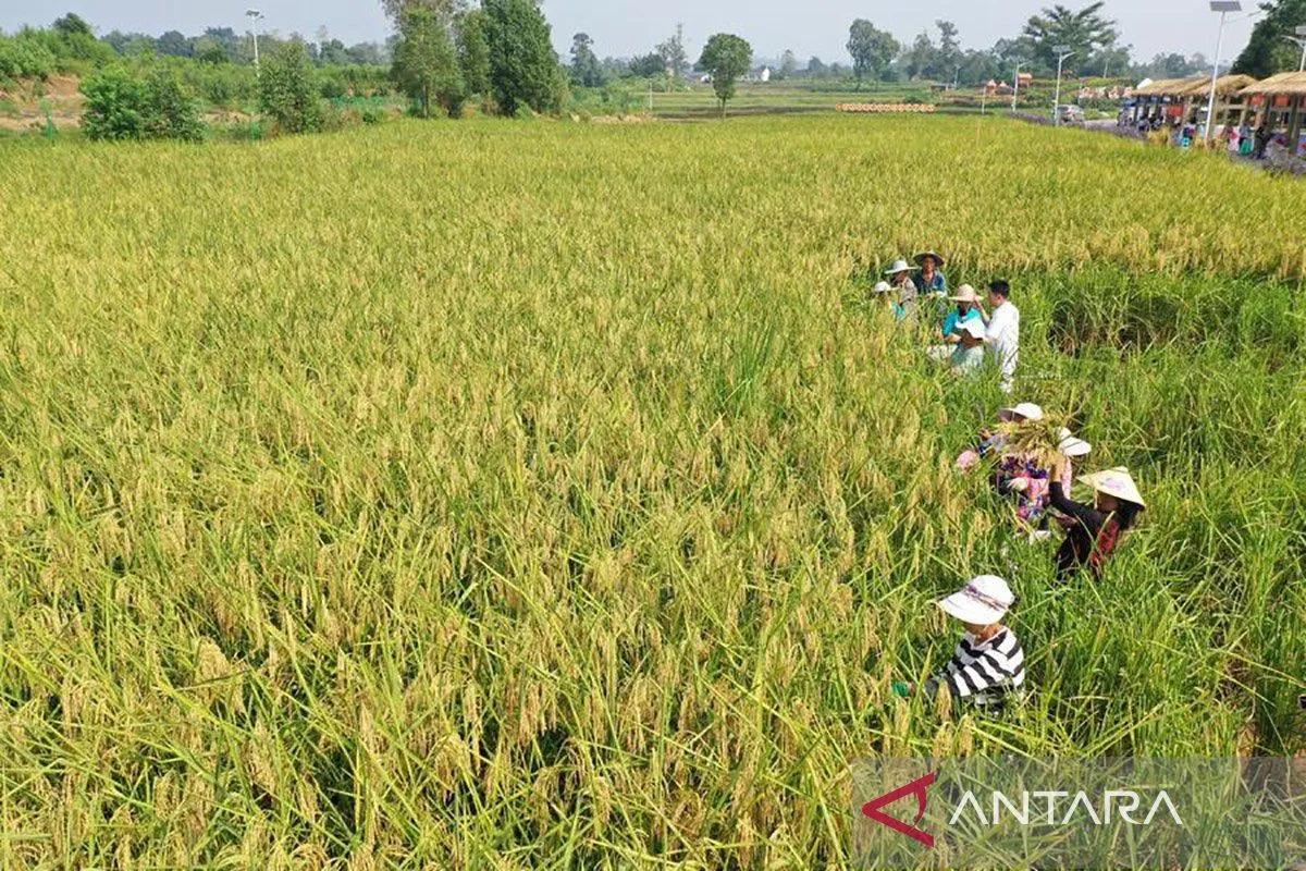 China Perketat Penegakan Hukum terhadap Kejahatan Keamanan Pangan demi Lindungi Konsumen